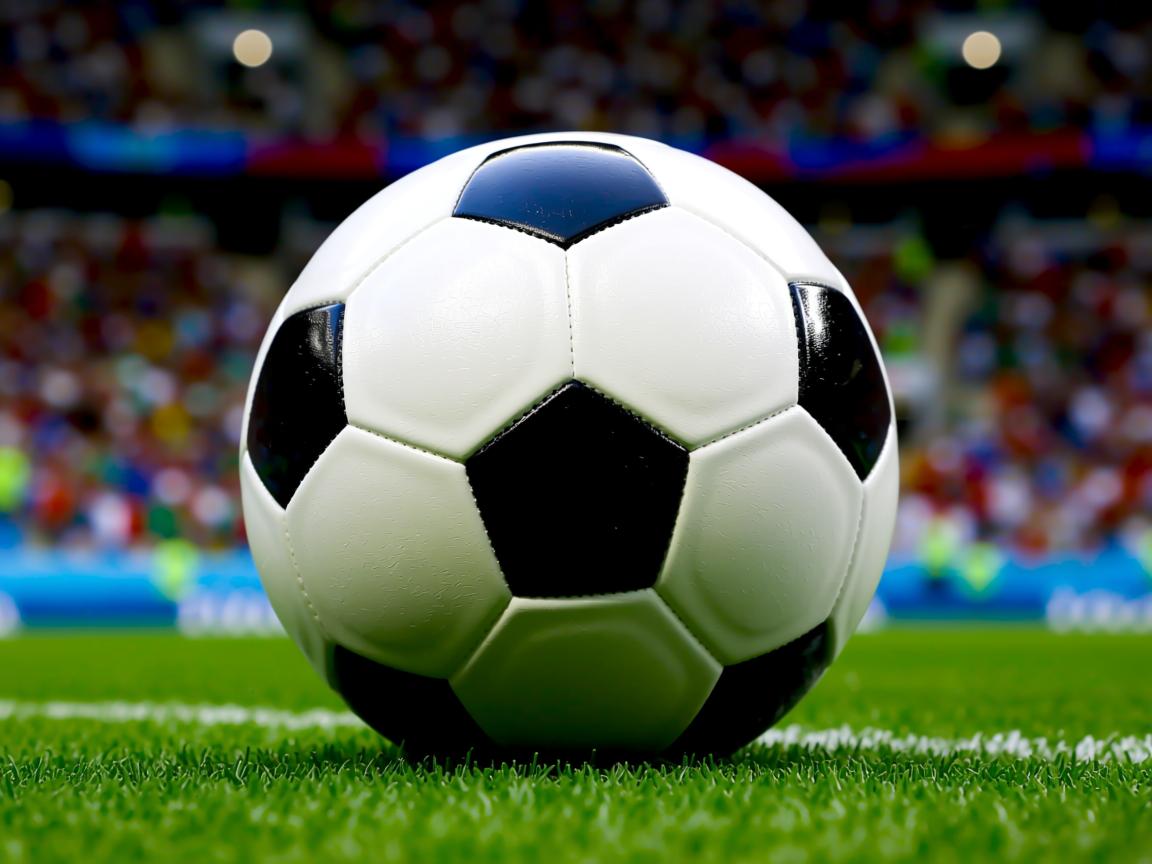 九游娱乐在线-“高新体育中心武术比赛:看选手如何在短短数秒间决胜负” 第3张